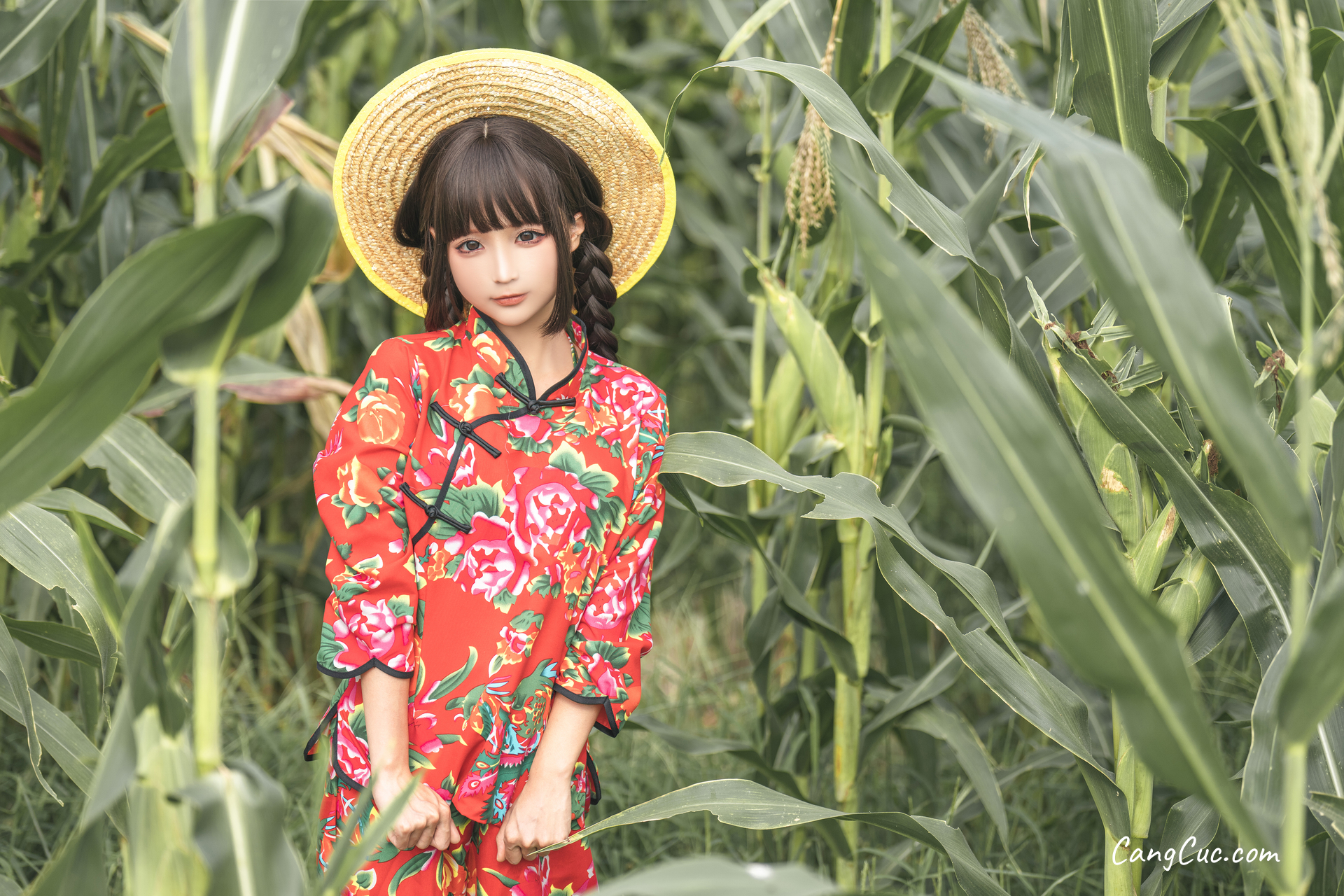 Coser@蠢沫沫 (chunmomo): The Story of Cornfield ảnh 49
